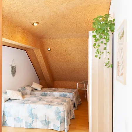 Sea Soul Cozy And Bright *