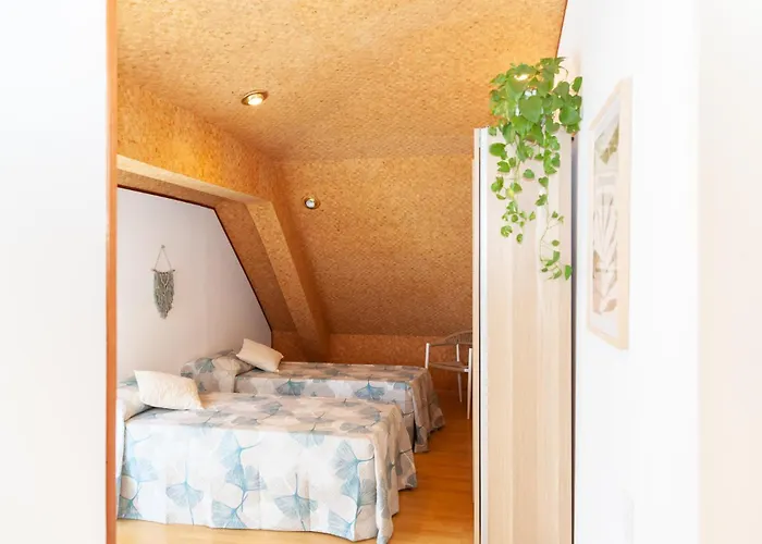 Sea Soul Cozy And Bright *