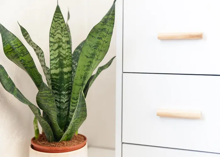 Sea Soul Cozy&bright Apartament